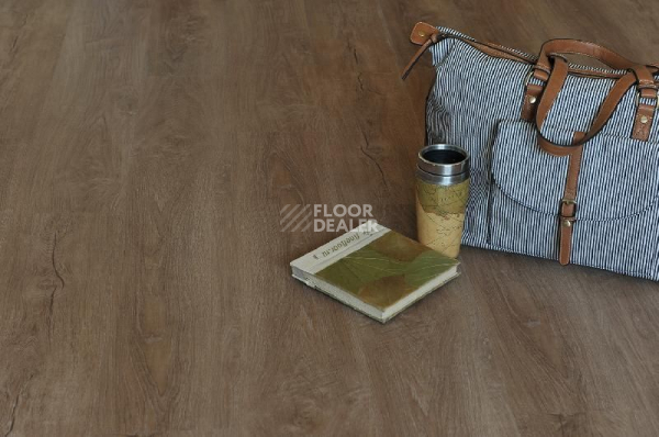 Кварцвиниловые полы Ecoclick Rich клеевой 2.5мм NOX-2062 Дуб Сен-Мартен фото 1 | FLOORDEALER